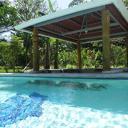 Cabinas Los Tucanes Cahuita Εξωτερικό φωτογραφία