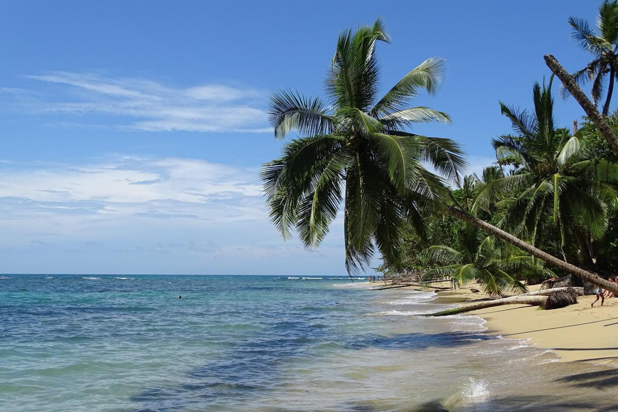 Cabinas Los Tucanes Cahuita Εξωτερικό φωτογραφία