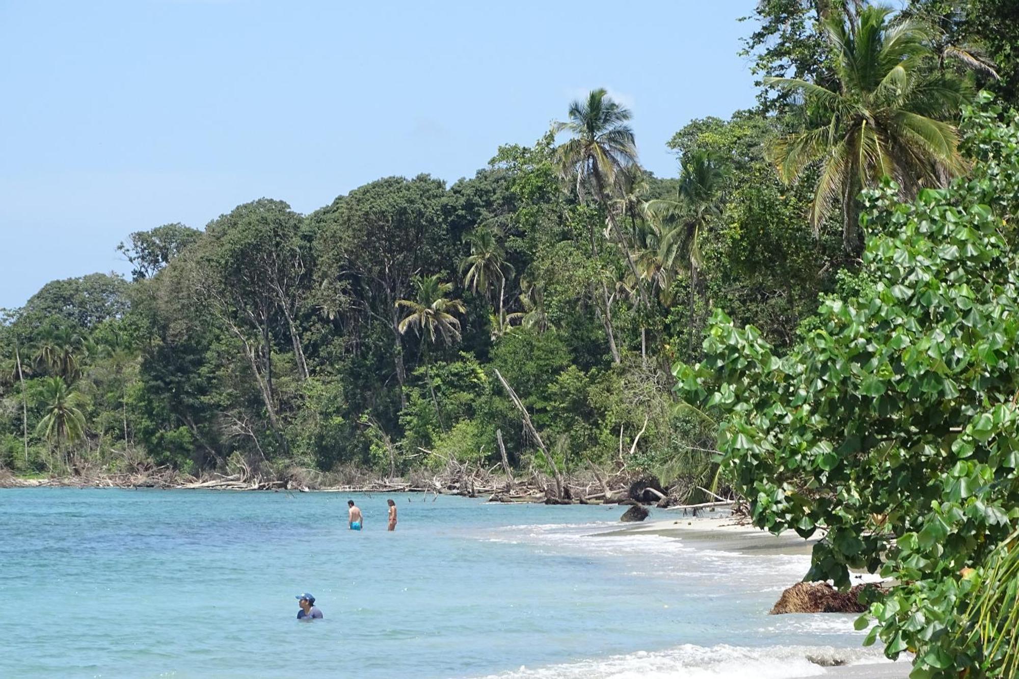 Cabinas Los Tucanes Cahuita Εξωτερικό φωτογραφία