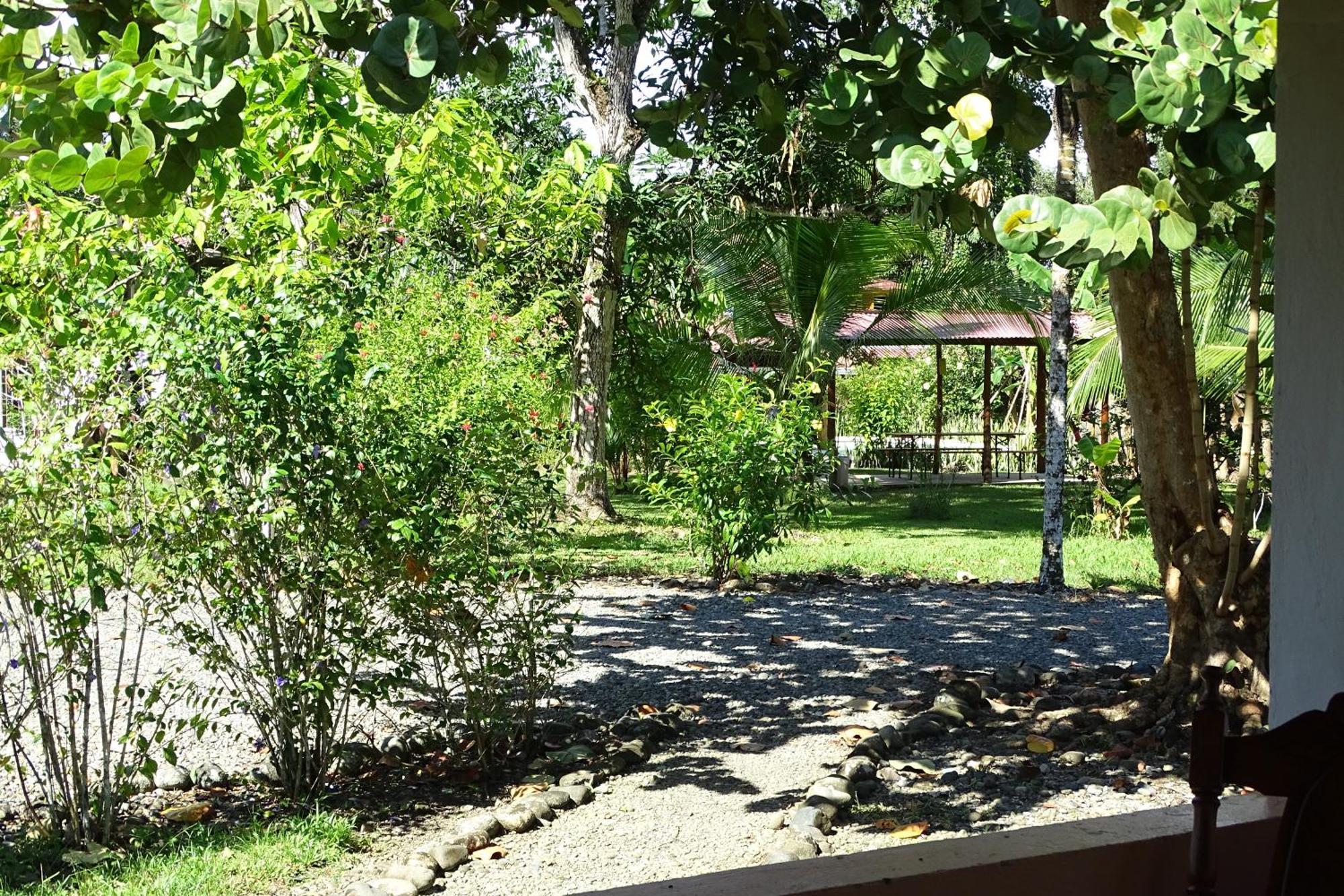 Cabinas Los Tucanes Cahuita Δωμάτιο φωτογραφία